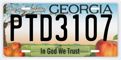 GA license plate PTD3107