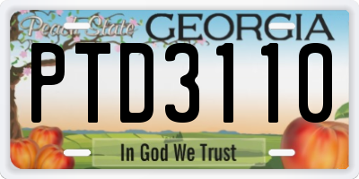 GA license plate PTD3110