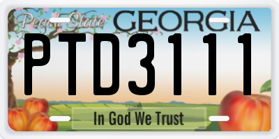 GA license plate PTD3111