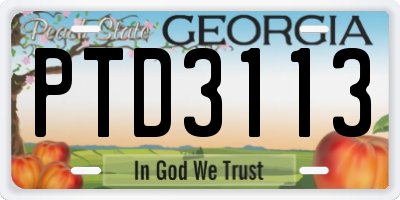 GA license plate PTD3113