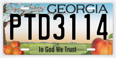 GA license plate PTD3114