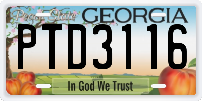 GA license plate PTD3116