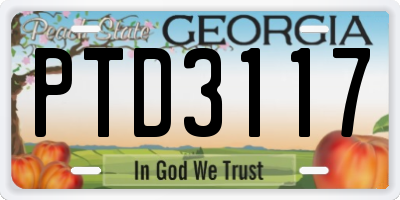 GA license plate PTD3117