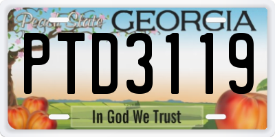 GA license plate PTD3119