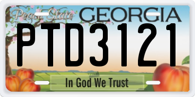 GA license plate PTD3121