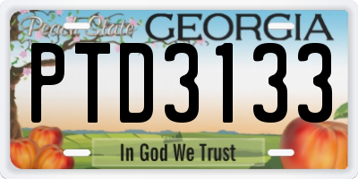 GA license plate PTD3133