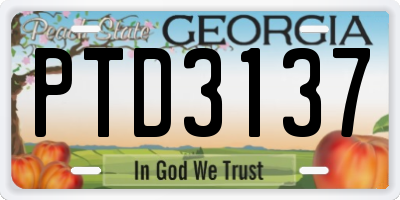 GA license plate PTD3137
