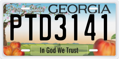 GA license plate PTD3141