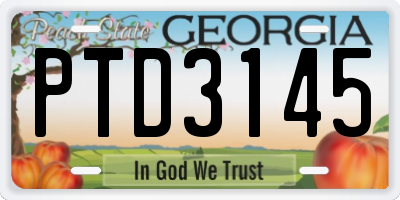 GA license plate PTD3145