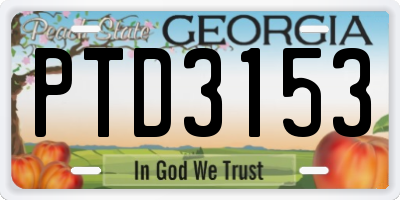 GA license plate PTD3153