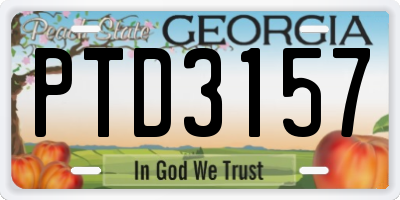 GA license plate PTD3157