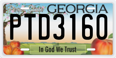 GA license plate PTD3160