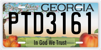 GA license plate PTD3161