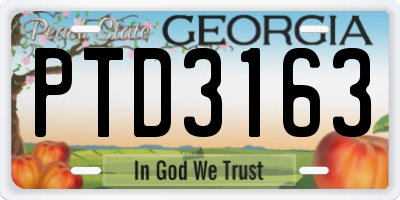 GA license plate PTD3163