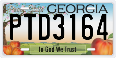GA license plate PTD3164
