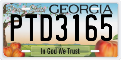 GA license plate PTD3165