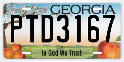 GA license plate PTD3167