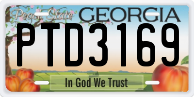 GA license plate PTD3169