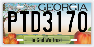 GA license plate PTD3170