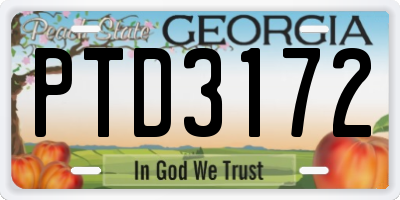 GA license plate PTD3172