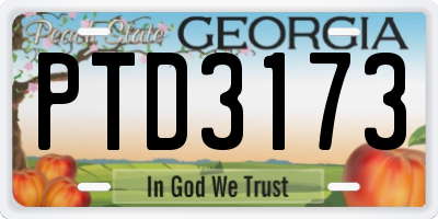 GA license plate PTD3173