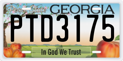 GA license plate PTD3175
