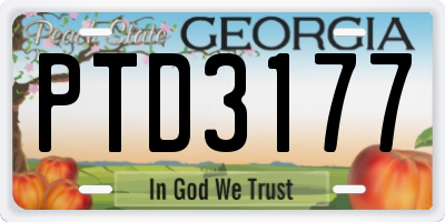 GA license plate PTD3177