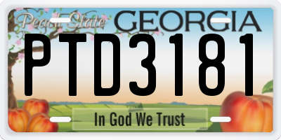 GA license plate PTD3181