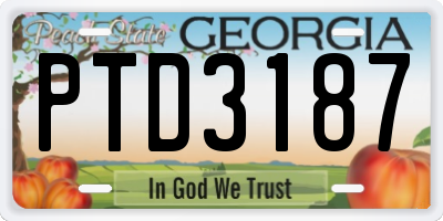 GA license plate PTD3187