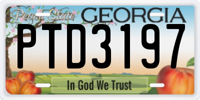 GA license plate PTD3197