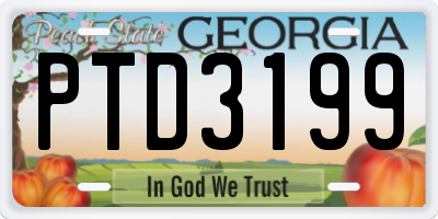 GA license plate PTD3199