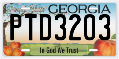 GA license plate PTD3203