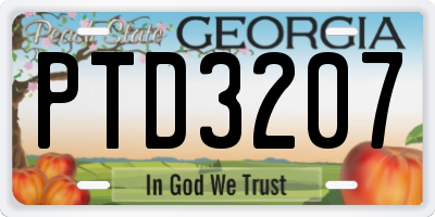GA license plate PTD3207