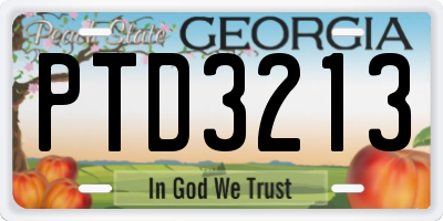 GA license plate PTD3213