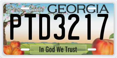 GA license plate PTD3217