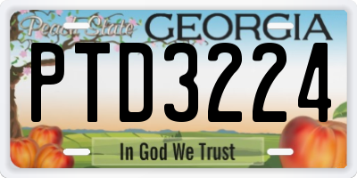 GA license plate PTD3224