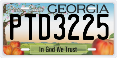 GA license plate PTD3225
