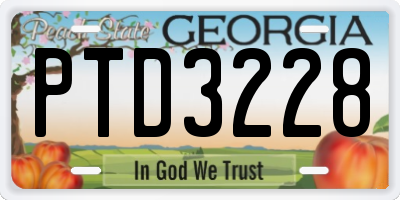 GA license plate PTD3228