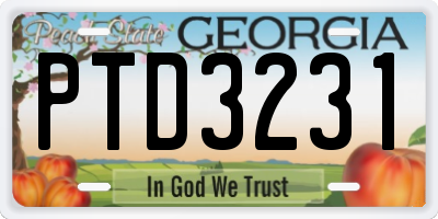 GA license plate PTD3231