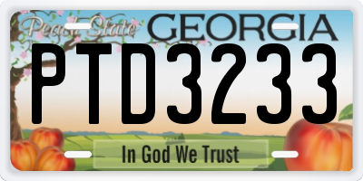 GA license plate PTD3233
