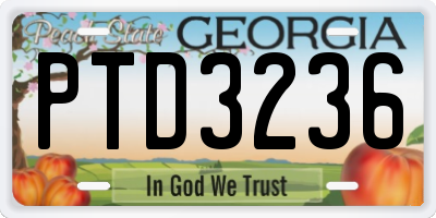 GA license plate PTD3236