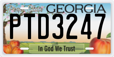 GA license plate PTD3247