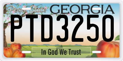 GA license plate PTD3250