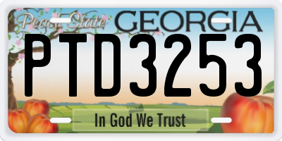 GA license plate PTD3253