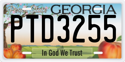 GA license plate PTD3255