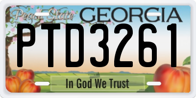 GA license plate PTD3261