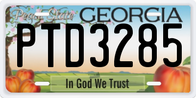 GA license plate PTD3285