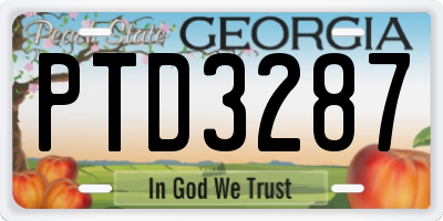 GA license plate PTD3287