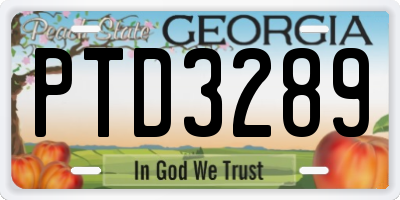 GA license plate PTD3289