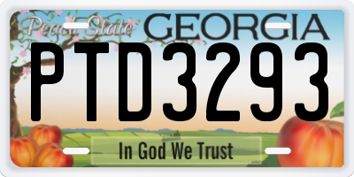 GA license plate PTD3293